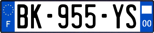 BK-955-YS