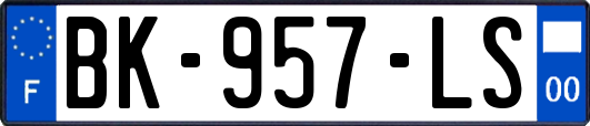 BK-957-LS