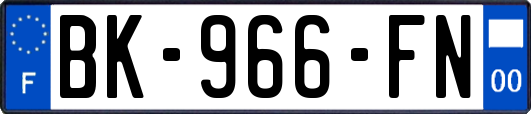 BK-966-FN