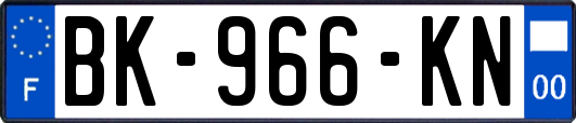 BK-966-KN