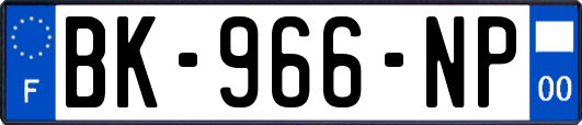 BK-966-NP