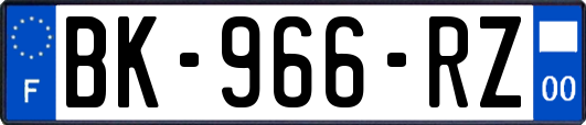 BK-966-RZ