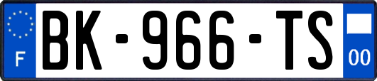 BK-966-TS