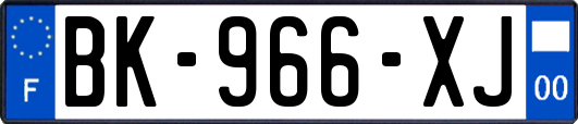 BK-966-XJ