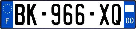 BK-966-XQ