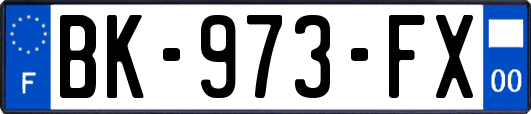 BK-973-FX