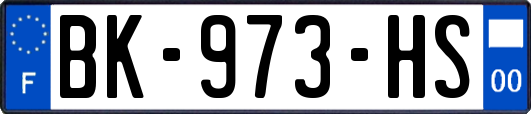 BK-973-HS