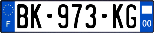 BK-973-KG