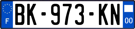 BK-973-KN