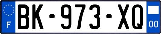 BK-973-XQ