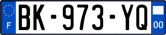 BK-973-YQ