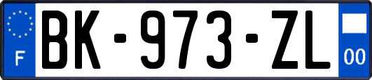 BK-973-ZL