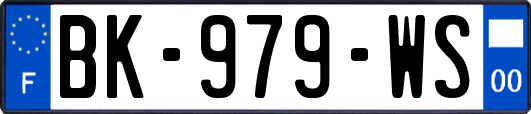 BK-979-WS