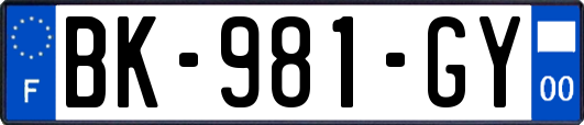 BK-981-GY