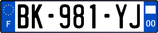BK-981-YJ