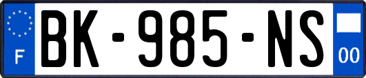 BK-985-NS