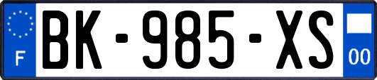 BK-985-XS