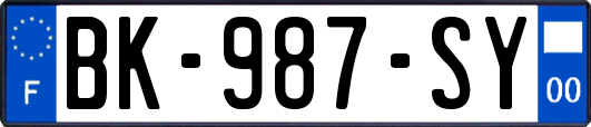 BK-987-SY