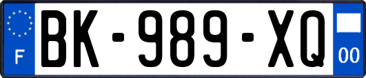 BK-989-XQ