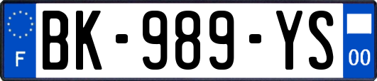 BK-989-YS