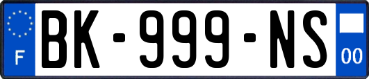 BK-999-NS