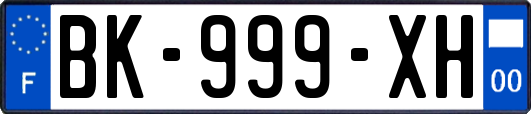 BK-999-XH