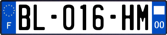 BL-016-HM