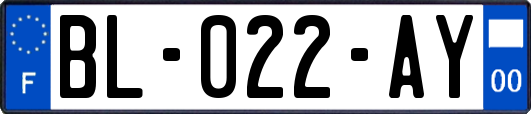 BL-022-AY