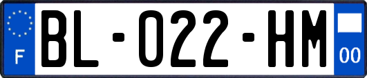 BL-022-HM