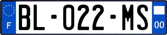 BL-022-MS