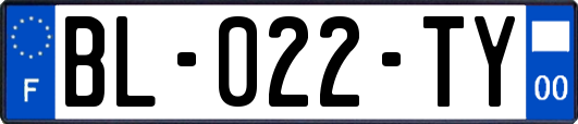 BL-022-TY