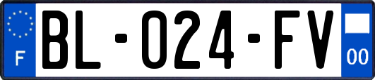 BL-024-FV