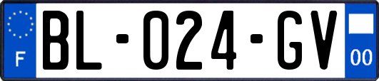 BL-024-GV