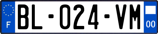 BL-024-VM