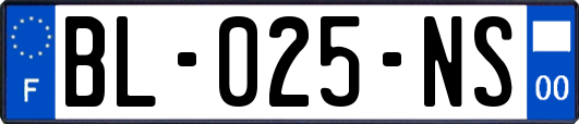 BL-025-NS