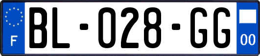 BL-028-GG