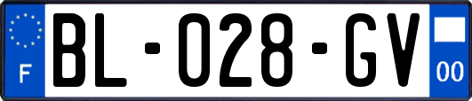 BL-028-GV
