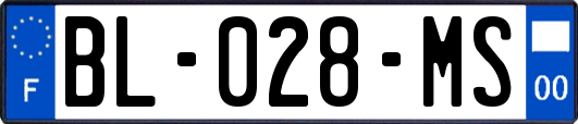 BL-028-MS