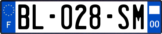 BL-028-SM