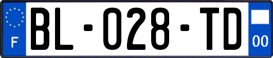 BL-028-TD