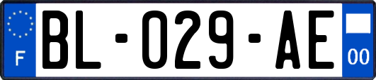 BL-029-AE