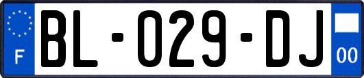 BL-029-DJ