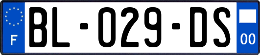 BL-029-DS