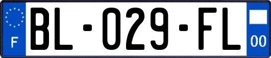 BL-029-FL