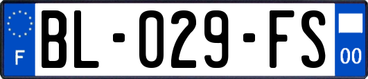 BL-029-FS