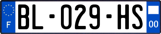 BL-029-HS