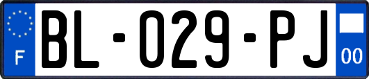 BL-029-PJ