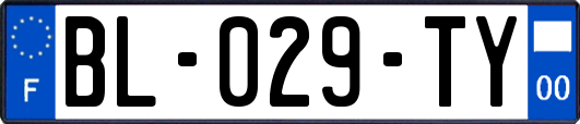 BL-029-TY