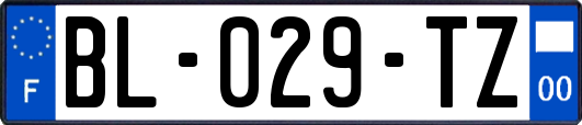 BL-029-TZ