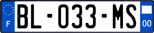 BL-033-MS